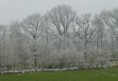 /album/a21-janvier-2016-rando-bais/a2016-01-21-rando-bais-79r-1280x874-jpg/